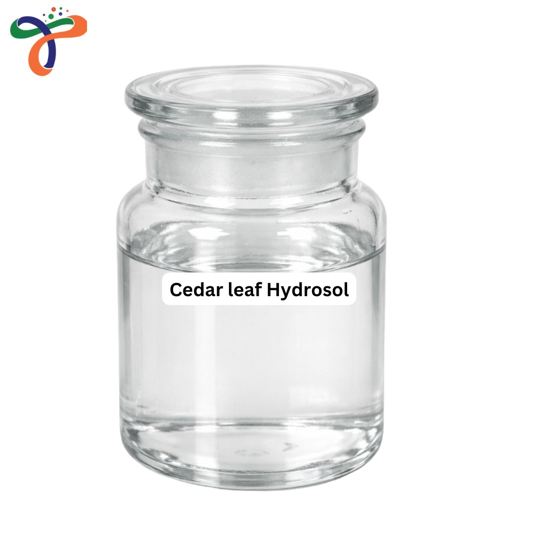Cedar leaf Hydrosol